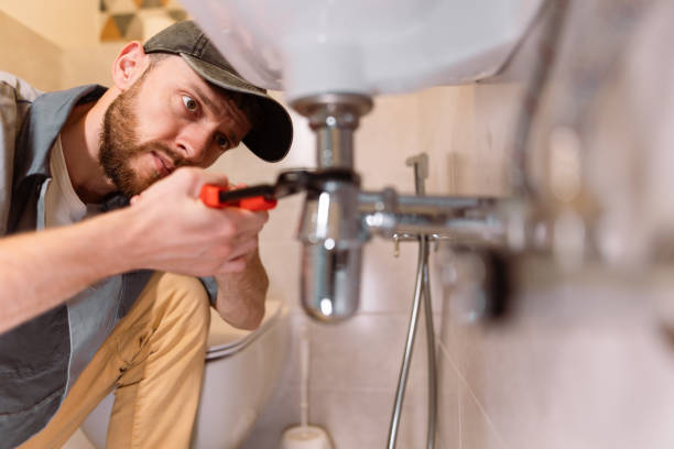 Best Plumbing Services Near Me  in Holt, AL