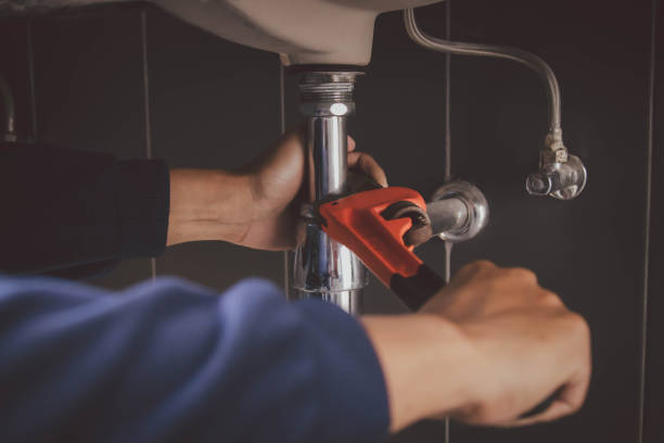 Best Plumbing Inspection Services  in Holt, AL