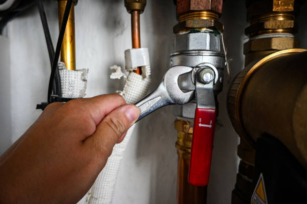 Best Clogged Drain Plumber  in Holt, AL